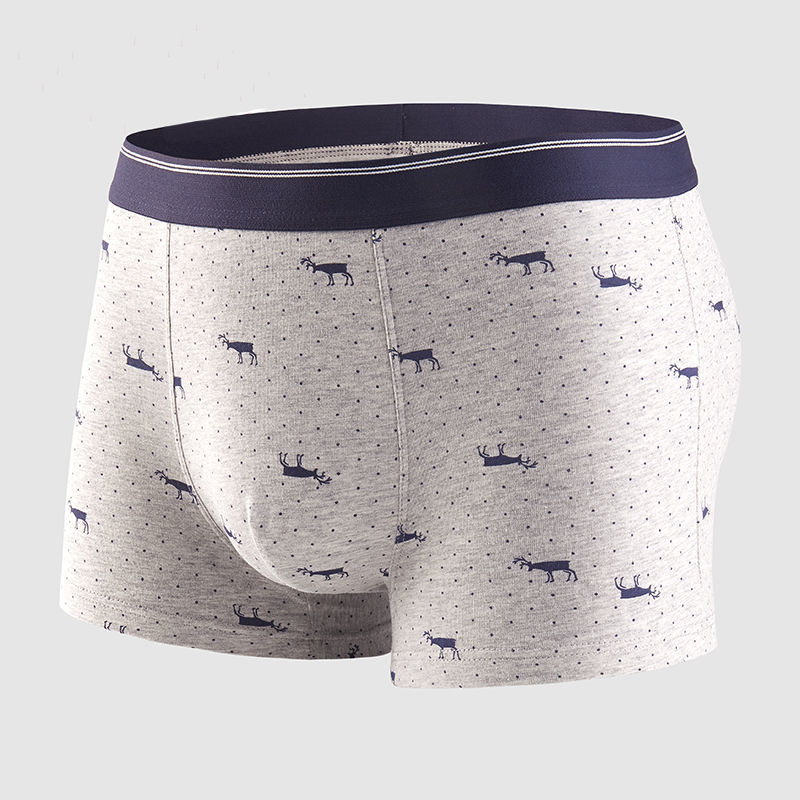 Celana dalam pendek Pria, 4pcs - Boxer Brief Pack Cotton ulasan dan harga